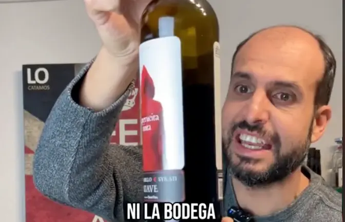 El experto en vinos
