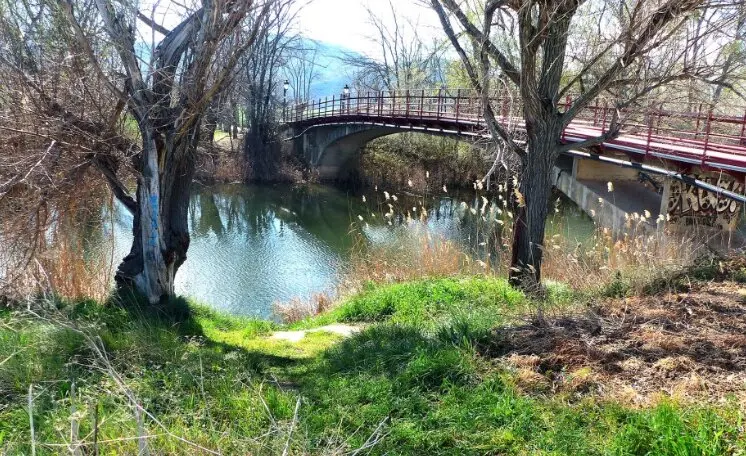 El r&iacute;o en Alcal&aacute; de Henares