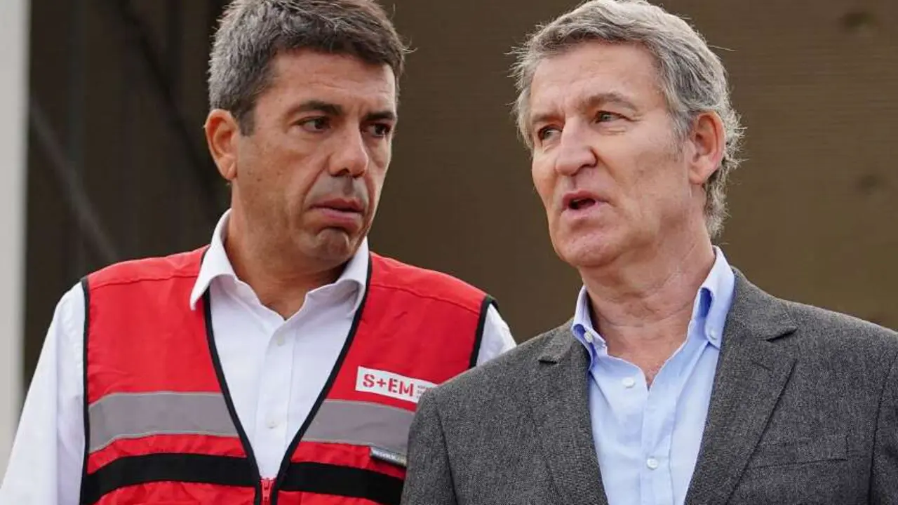 Feijoo y Maz&oacute;n