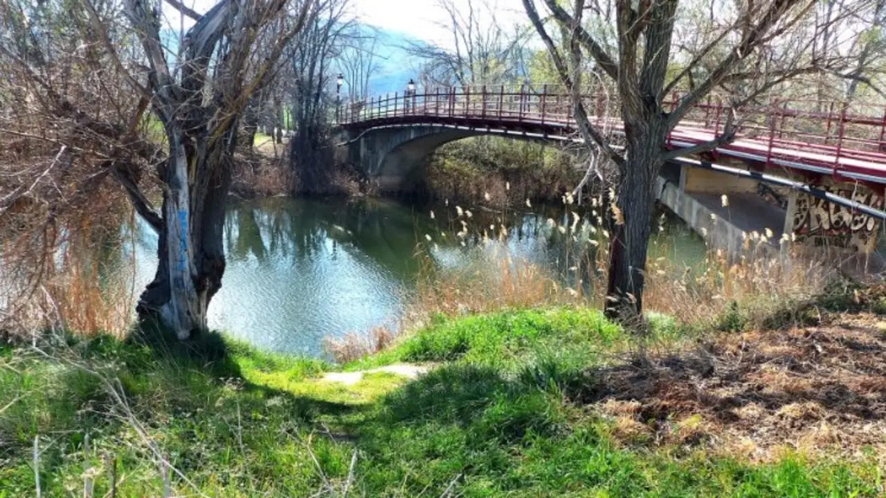El r&iacute;o en Alcal&aacute; de Henares