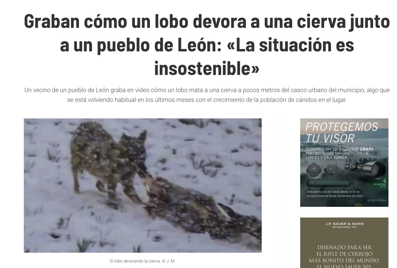 El artículo de Jara y Sedal